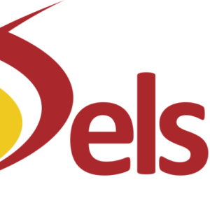 Delsoft Sistemas